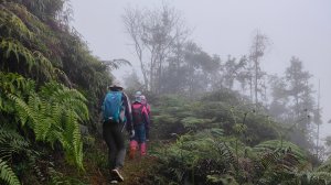 過大水~水大過2025年2月2日