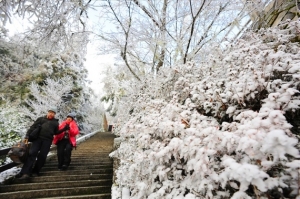 【新聞】太平山、合歡山賞雪 愈冷愈夯