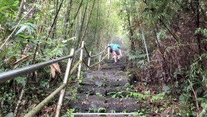 【嘉義番路】大湖尖山