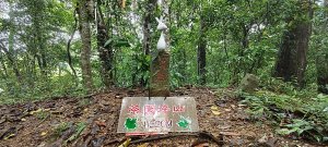 2025/05/25_茶園坪山