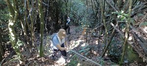 2024/07/06_鳥嘴山步道