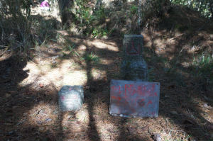 探勘深藏在向陽國家森林遊樂區的向榮(向陽南)山