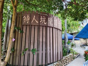 【員林】隴頂古道連走萬里長城及藤山步道O繞