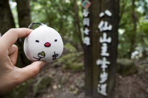 八仙山森林步道