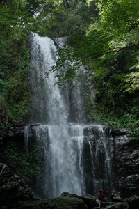 【步道小旅行】雲森瀑布步道