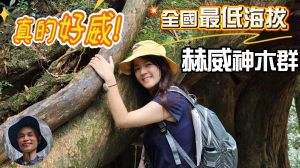 真的好威，赫威神木群，全台海拔最低紅檜神木群，樹齡800至2000歲，位於插天山自然保留區範圍，卜派神木、赫威神木、八仙神木，飛瀑流泉，彷如仙境。