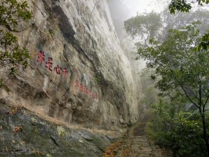 雨中登獅頭山。漫步獅山古道、水濂橋步道