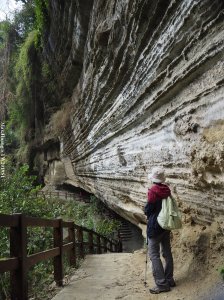 《嘉義》蝙蝠洞燕子崖｜圓潭自然生態園區（圓潭及青年嶺步道）