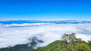 【加里山】鹿場登山口~帶你走入雲海夢幻森林，苗栗最高峰
