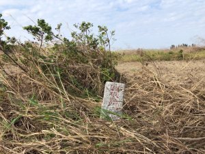 台南市七股區沙崙寮（下山子寮、龍山）全台地理位置最西之土地調查局圖根點