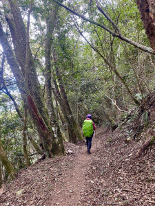 八通關古道與八大秀(附航跡檔)