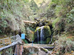 【阿里山】石山引水道