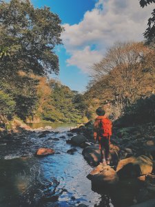 陽明山神秘綠境 • 鹿角坑保護區