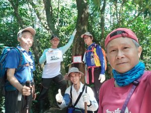 [新竹郊山]飛沙大縱走後段...淺談「義確山」