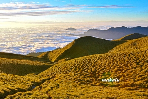 山岳之美--金黃箭竹、雲海、星空的奇萊南華山