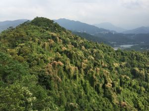 獅頭山(小獅山一,二,三峰)