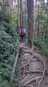 加里山 鹿場登山口