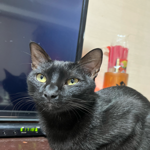 Zoe 