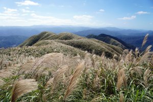 貂山古道--牡丹山步道