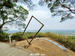 【雲林古坑】步道悠閒走， 桐花樹下咖啡香。 荷苞山登山步道x 桐花公園