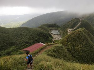 抹茶山♥柴柴奇遇記