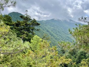 北三錐山順訪雪山神木及小雪山天池