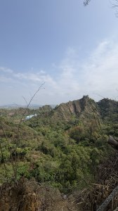 暴雨後（觀音山賞花