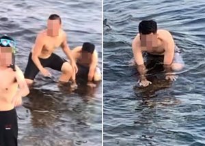 【新聞】小琉球遊客疑騷擾海龜 海巡傳喚3人偵辦