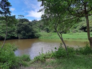 [高雄仁武][二]清心嶺、武山、前埔山