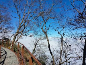 【新聞】太平山國家森林遊樂區2021年春節旅遊攻略