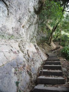 《雲林》竹林峭壁｜嘉南雲峰石壁山北側入