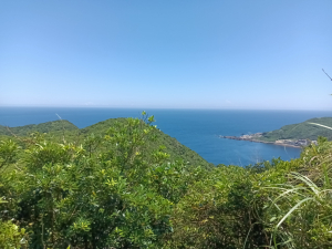 瑞芳區海園古道+鼻頭港稜+鼻頭山稜O型