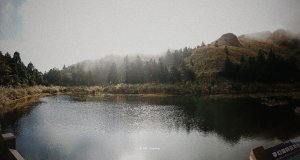 小百岳｜109.0104七星山主、東峰