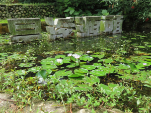 旱溪源頭生態公園(順遊慈濟公園‧後山腳福德祠)