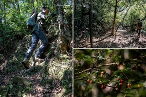 【新北汐止/平溪】短暫的實境復健．磐石嶺登山步道