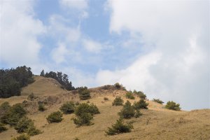 【志佳陽大山】一日單攻｜直線陡上1700公尺，走到好想哭，瓢簞山屋很好睡！