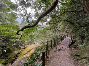 坐火車走馬胎古道＋南坪古道