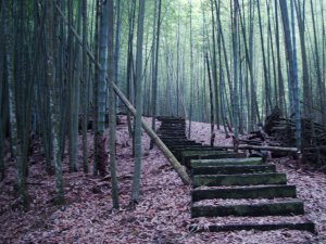 竹篙水溪步道、石壁山、好望角、嘉南雲峰、九芎神木環繞。