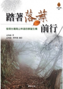 【山林】踏著落葉前行－發現台灣高山林道的靜謐生機