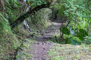 [花蓮]米棧古道