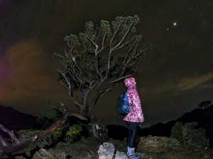 嘉明湖、三叉、向陽 (シヌべシ池)