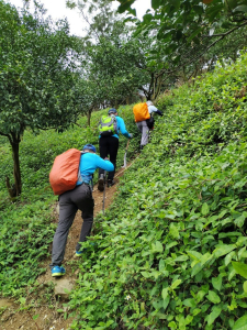 [新竹郊山]飛沙大縱走後段(沙坑山~大肚庄)