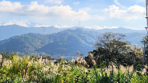 石光古道（挑擔古道），面埔頂山，北埔老街，金廣福公館，姜阿新洋樓，水井巷