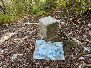 留佐屯山 2024.11.27