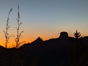 2025/228 武陵四秀