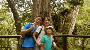 拉拉山神木群步道登山健行趣