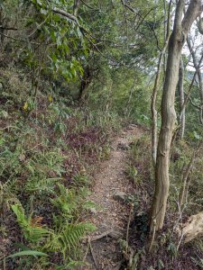 白鷺部落至大武藏山與舊古樓社