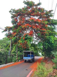 橫山步道-(彰化)臺灣百大必訪步道
