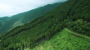 油羅山初體驗一上三下O形