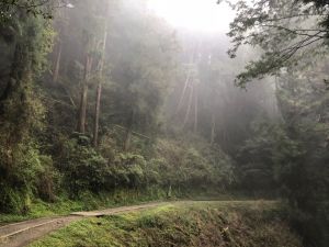 特富野古道